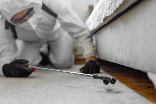 Professional Bed Bug Control technician working in Coalville, UT
