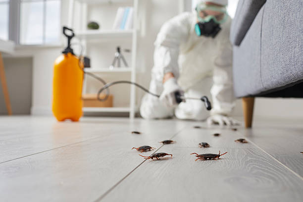 Trusted Fumigation Services service in Coalville, UT - Nex Pest Control